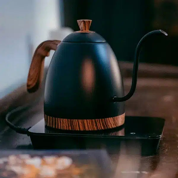 comprar brewista artisan