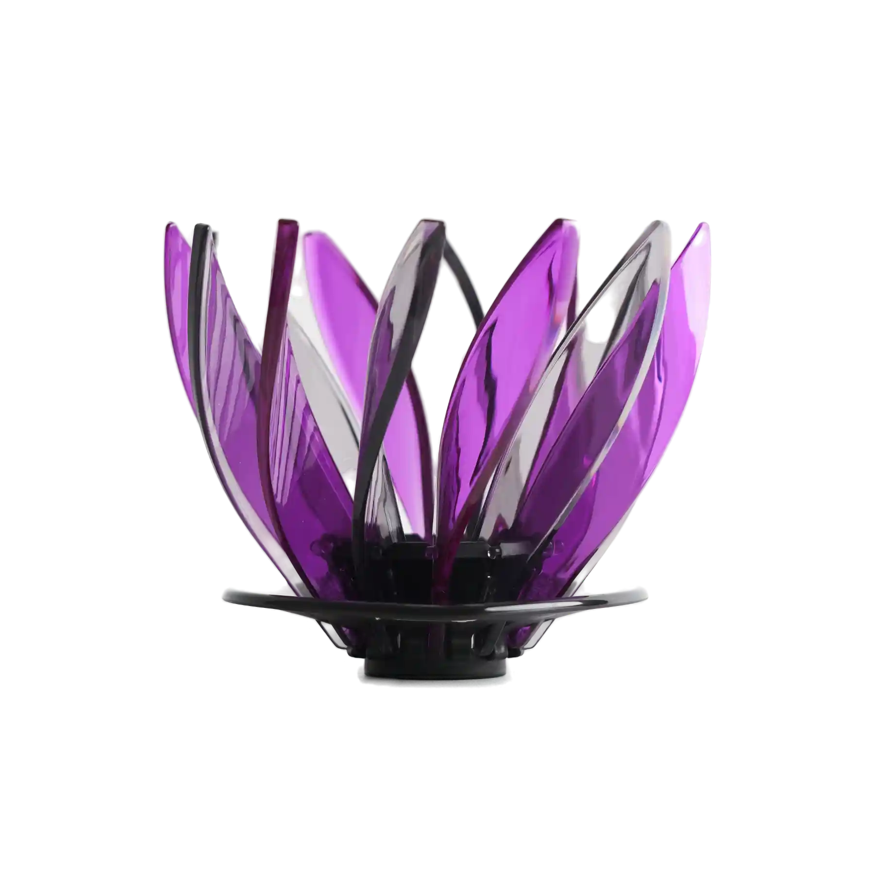 comprar hario suiren morado