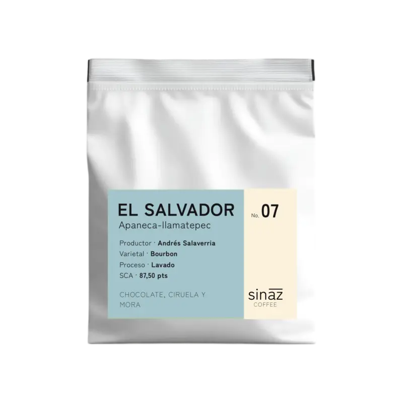 No. 07 El salvador lavado